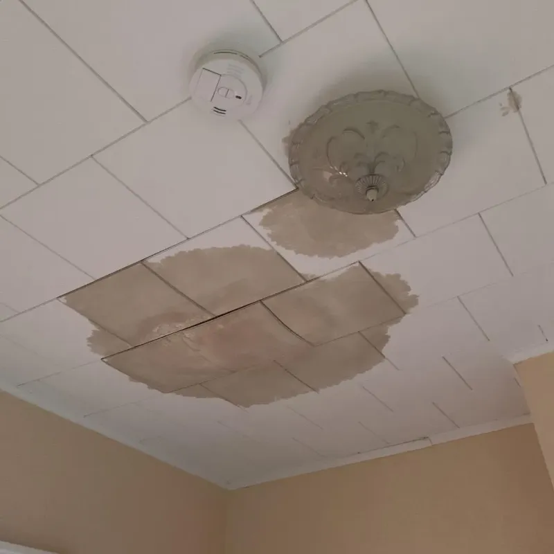 Ceiling Water Damage Repair in Carnesville, GA