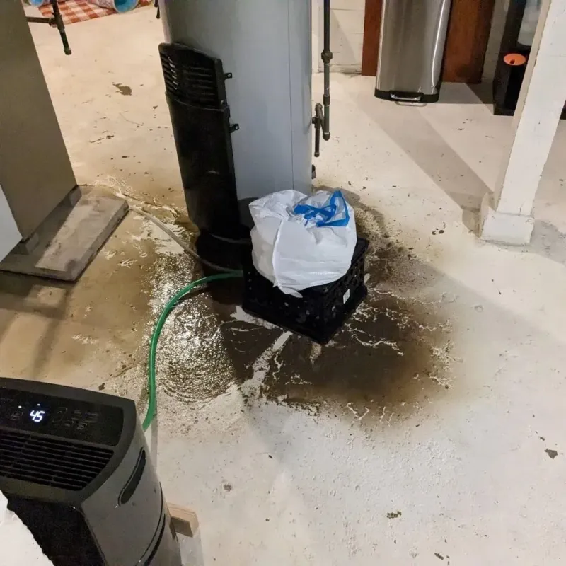 Sewage Backup Cleanup Service in Carnesville, GA